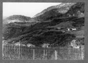 Profanbau (Positivo) (1983/07/13 - 1983/07/13)