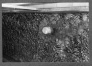 Gewässer (Positivo) (1975/01/01 - 1990/12/31)