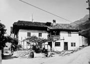 vitigno (Positivo) (1945/01/01 - 1965/12/31)