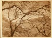 Burg und Schloß (Positivo) (1922/12/01 - 1923/05/31)