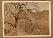 Gewässer (Positivo) (1922/12/01 - 1923/05/31)