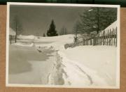 Landschaft (Positivo) (1922/12/01 - 1923/05/31)