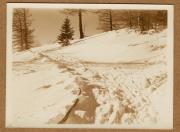 Landschaft (Positivo) (1922/12/01 - 1923/05/31)