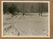 Landschaft (Positivo) (1922/12/01 - 1923/05/31)