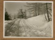 Landschaft (Positivo) (1922/12/01 - 1923/05/31)