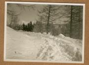 Landschaft (Positivo) (1922/12/01 - 1923/05/31)