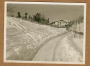 Hof (Positivo) (1922/12/01 - 1923/05/31)