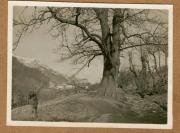 Stadtansicht (Positivo) (1922/12/01 - 1923/05/31)