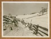 Hof (Positivo) (1922/12/01 - 1923/05/31)