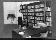 ritratto di donna (Positivo) (1982/11/01 - 1982/11/13)