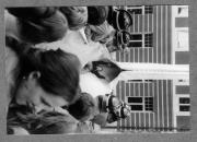 Beruf (Positivo) (1980/01/01 - 1990/12/31)