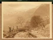 Straße (Positivo) (1922/12/01 - 1923/05/31)