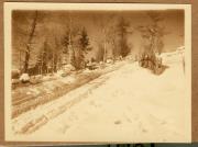 Landschaft (Positivo) (1922/12/01 - 1923/05/31)