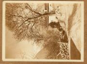 Hof (Positivo) (1922/12/01 - 1923/05/31)