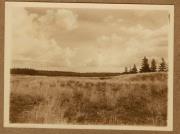 Landschaft (Positivo) (1922/12/01 - 1923/05/31)