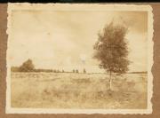 Landschaft (Positivo) (1922/12/01 - 1923/05/31)