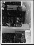 Profanbau (Positivo) di Schöner, Josef Rudolf (1937/01/01 - 1937/12/31)