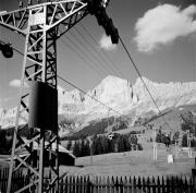 bosco (Positivo) di Foto Hermann Frass, Bozen,Hermann Frass (1952/07/01 - 1952/07/31)