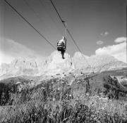 bosco (Positivo) di Foto Hermann Frass, Bozen,Hermann Frass (1952/07/01 - 1952/07/31)