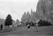 bosco (Positivo) di Foto Hermann Frass, Bozen,Hermann Frass (1952/07/01 - 1952/07/31)