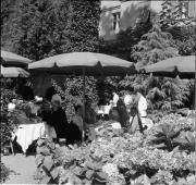 Gast (Positivo) di Foto Hermann Frass, Bozen,Hermann Frass (1953/09/01 - 1953/09/93)