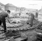Gartenarbeit (Positivo) di Foto Hermann Frass, Bozen,Hermann Frass (1953/05/01 - 1953/09/93)
