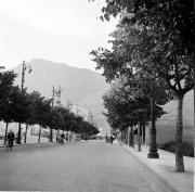 Baumbepflanzung in Siedlungen (Positivo) di Foto Hermann Frass, Bozen,Hermann Frass (1953/05/01 - 1953/09/93)