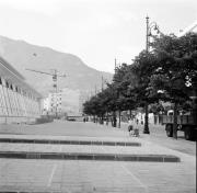 Baumbepflanzung in Siedlungen (Positivo) di Foto Hermann Frass, Bozen,Hermann Frass (1953/05/01 - 1953/09/93)