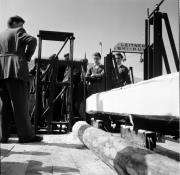 passanti (Positivo) di Foto Hermann Frass, Bozen,Hermann Frass (1953/09/01 - 1953/09/93)