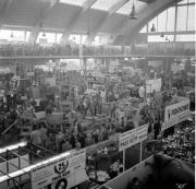 Messepalast Bozen-Romstraße (Positivo) di Foto Hermann Frass, Bozen,Hermann Frass (1953/09/01 - 1953/09/93)