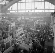 Messepalast Bozen-Romstraße (Positivo) di Foto Hermann Frass, Bozen,Hermann Frass (1953/09/01 - 1953/09/93)