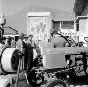 passanti (Positivo) di Foto Hermann Frass, Bozen,Hermann Frass (1953/09/01 - 1953/09/93)