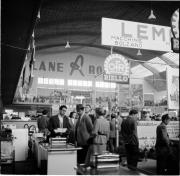 Messepalast Bozen-Romstraße (Positivo) di Foto Hermann Frass, Bozen,Hermann Frass (1953/09/01 - 1953/09/93)