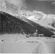 bosco (Positivo) di Foto Hermann Frass, Bozen,Hermann Frass (1954/03/01 - 1954/03/31)