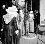 Promenade (Positivo) di Foto Hermann Frass, Bozen,Hermann Frass (1954/04/11 - 1954/04/11)
