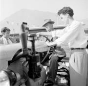 Fiera di Bolzano (Positivo) di Foto Hermann Frass, Bozen,Hermann Frass (1954/09/01 - 1954/09/93)