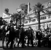 cavallo (Positivo) di Foto Hermann Frass, Bozen,Hermann Frass (1954/10/01 - 1954/10/31)