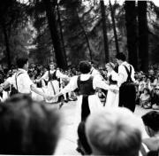 Fest (Positivo) di Foto Hermann Frass, Bozen,Hermann Frass (1955/07/01 - 1955/07/31)