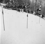 Skirennen (Positivo) di Foto Hermann Frass, Bozen,Hermann Frass (1956/01/01 - 1956/01/31)