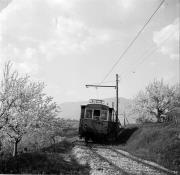 Mendelbahn (Positivo) di Foto Hermann Frass, Bozen,Hermann Frass (1956/04/01 - 1956/04/43)