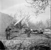 Bauer(in) / Landarbeiter(in) (Positivo) di Foto Hermann Frass, Bozen,Hermann Frass (1956/12/01 - 1956/12/31)