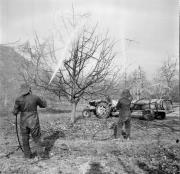 Bauer(in) / Landarbeiter(in) (Positivo) di Foto Hermann Frass, Bozen,Hermann Frass (1956/12/01 - 1956/12/31)