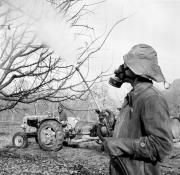 Spritzen (Landwirtschaft) (Positivo) di Foto Hermann Frass, Bozen,Hermann Frass (1956/12/01 - 1956/12/31)