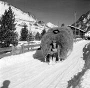 Schlitten (Positivo) di Foto Hermann Frass, Bozen,Hermann Frass (1958/01/01 - 1958/01/31)