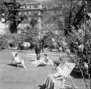 Park in Bozen: Gastgarten Laurinhotel (Positivo) di Foto Hermann Frass, Bozen,Hermann Frass (1958/06/01 - 1958/06/63)