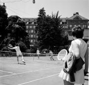 Tennisplatz Bozen-Laurinhotel (Positivo) di Foto Hermann Frass, Bozen,Hermann Frass (1958/06/01 - 1958/06/63)