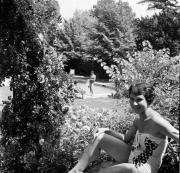 Park in Bozen: Gastgarten Laurinhotel (Positivo) di Foto Hermann Frass, Bozen,Hermann Frass (1958/06/01 - 1958/06/63)