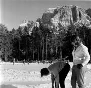 bosco (Positivo) di Foto Hermann Frass, Bozen,Hermann Frass (1959/02/01 - 1959/02/28)