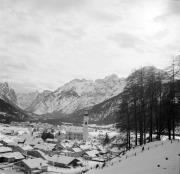 bosco (Positivo) di Foto Hermann Frass, Bozen,Hermann Frass (1961/02/01 - 1961/02/28)