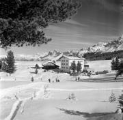 sport invernale (Positivo) di Foto Hermann Frass, Bozen,Hermann Frass (1963/01/01 - 1963/01/31)